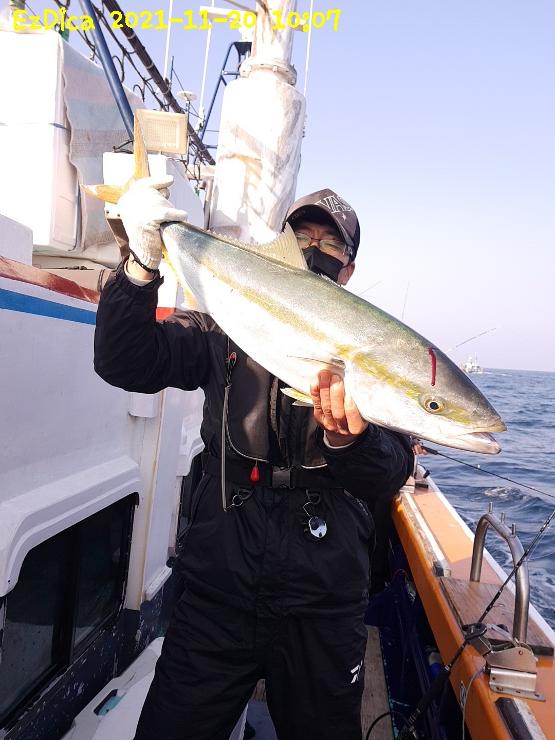 겨울 특방어~ 낚시~쏟다집니다~