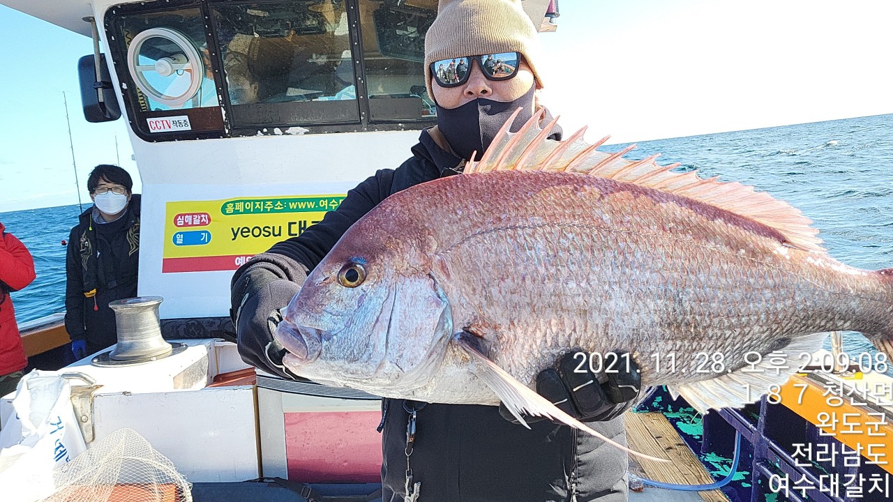 참돔 명예의 전당 (70이상)