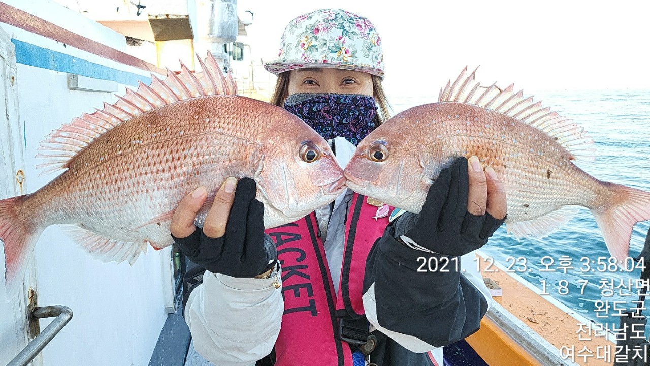 거문도 참돔 탐사조황 입니다