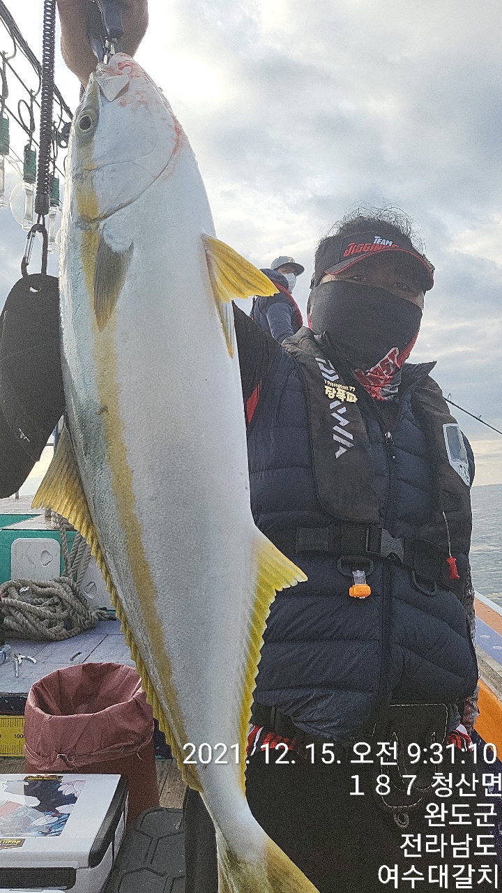 완도 빅게임 대갈치선단(바다1호) 조황입니다.